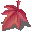 Red Leaf