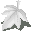 White Leaf