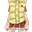 黄色鲨鱼宝宝衣(女)
