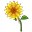 Thanksgiving 2025 Green Flower