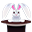 黑帽兔子