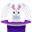 紫帽兔子