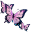 白色蝴蝶