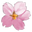 樱花光效(10 分钟)